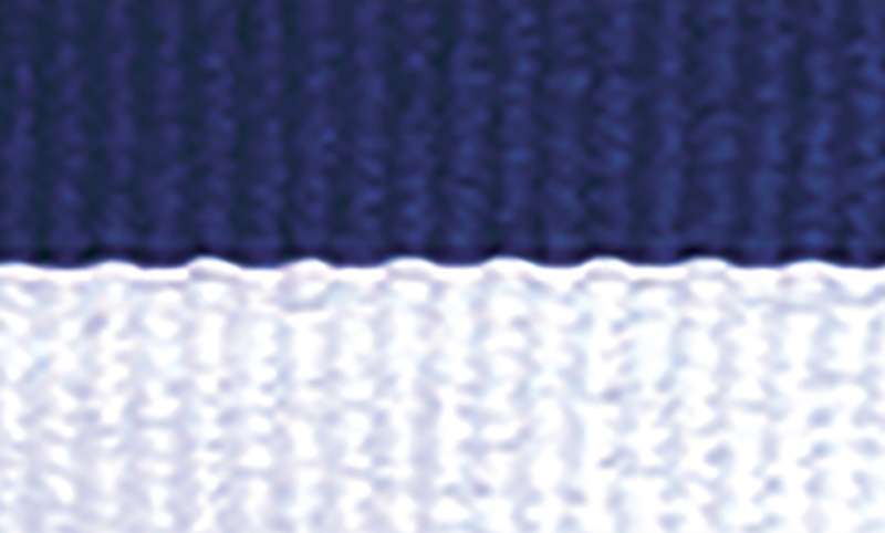 Blue / White Ribbon