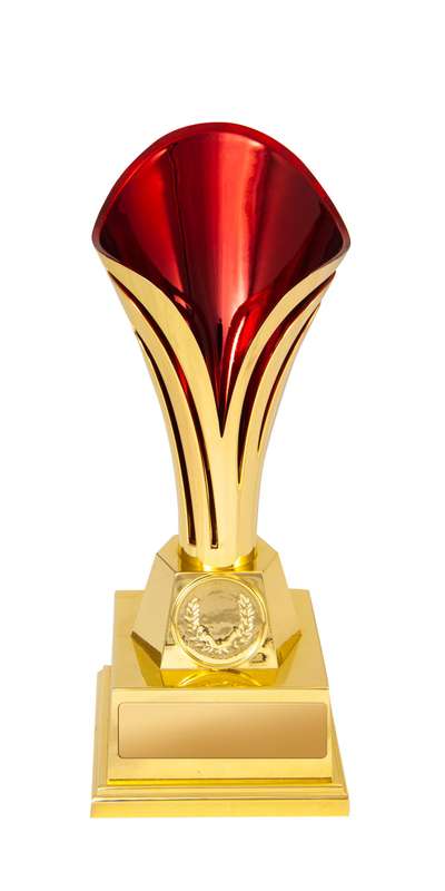 Tulipa Cup