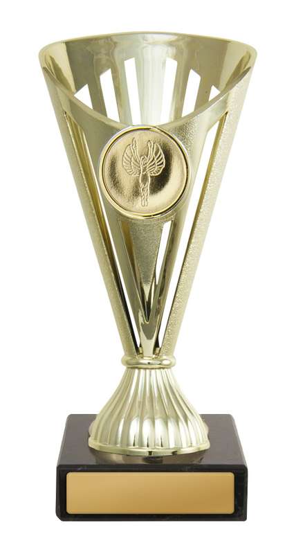 Fan Budget Cup