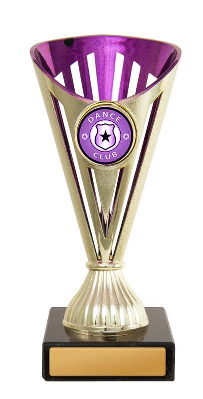 Fan Budget Cup