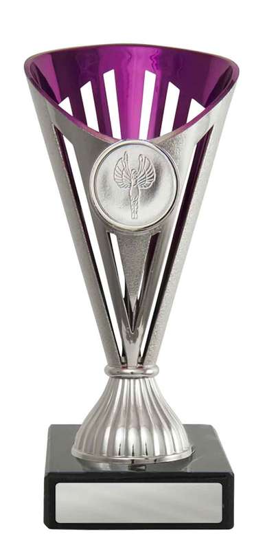 Fan Budget Cup