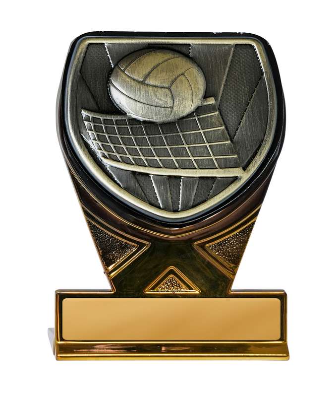 Fusion Cobra Volleyball