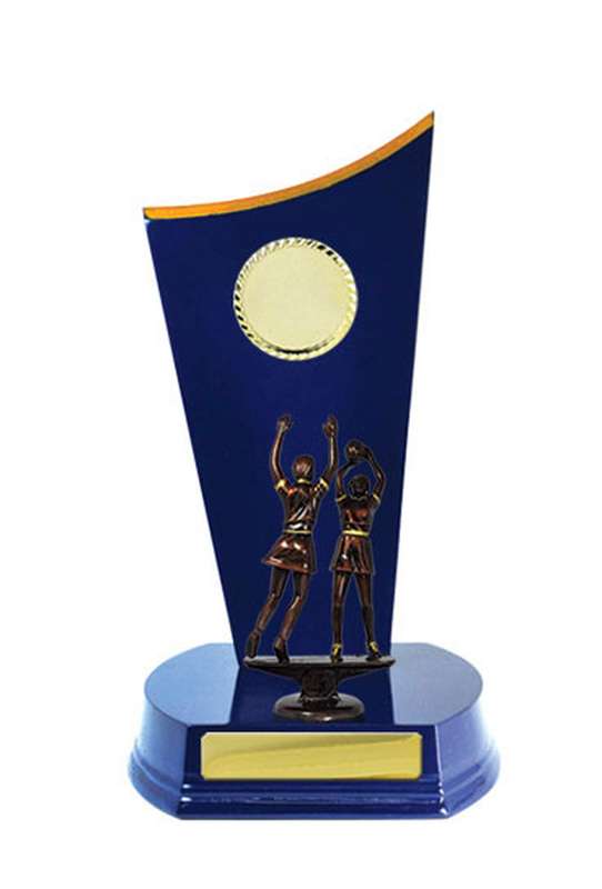 Timber Buildup Netball