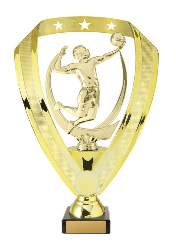 Volleyball Trophy With 25mm Centre