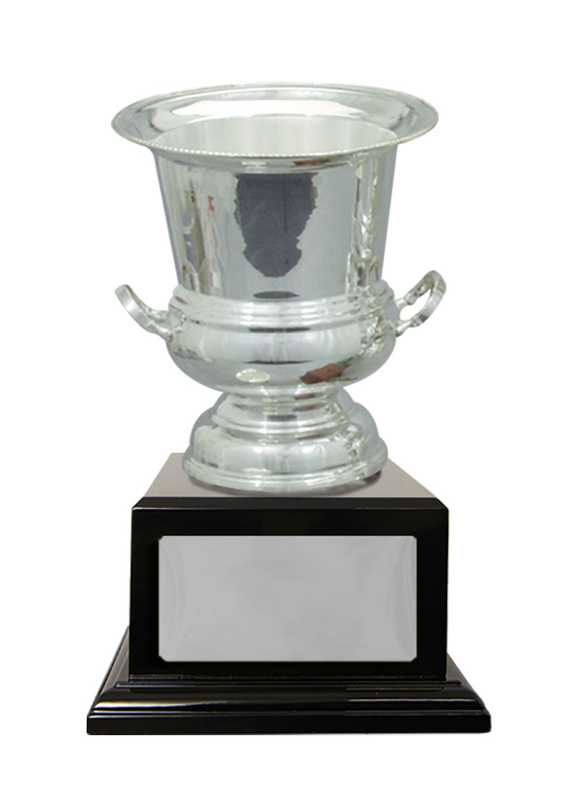 Silver Plated Cup