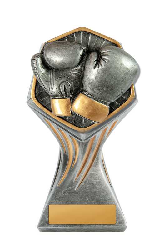 Gladiator Series-Boxing