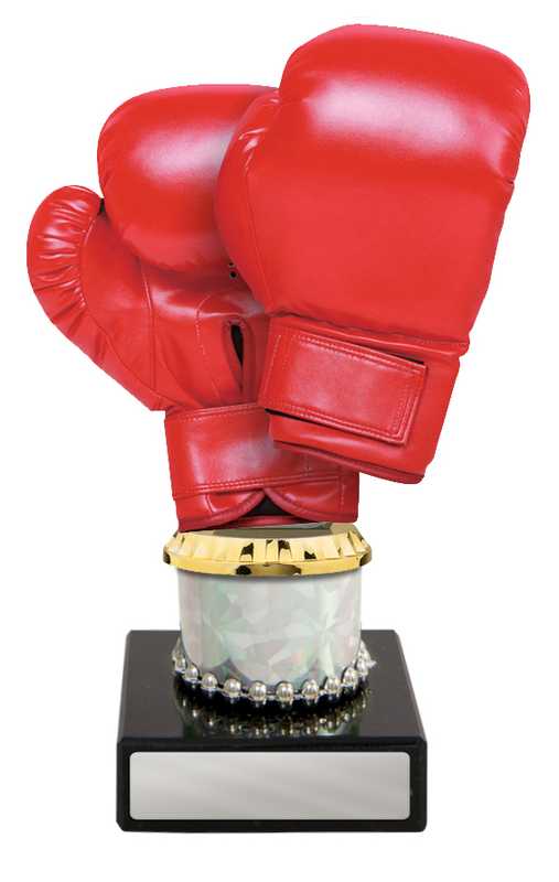 Acrylic Boxing on Column