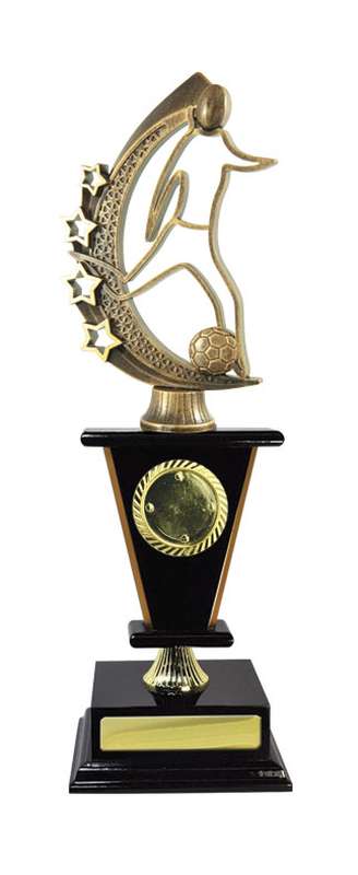 Timber Buildup Football Fem.