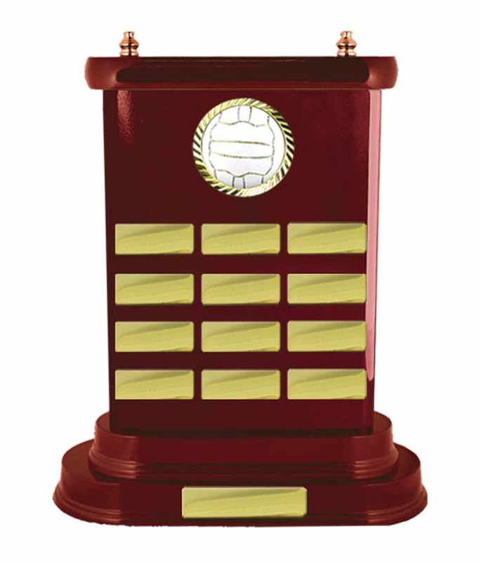 Timber Buildup Netball