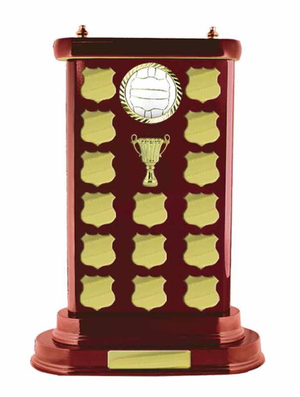 Timber Buildup Netball