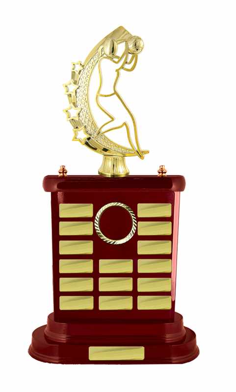 Timber Buildup Netball