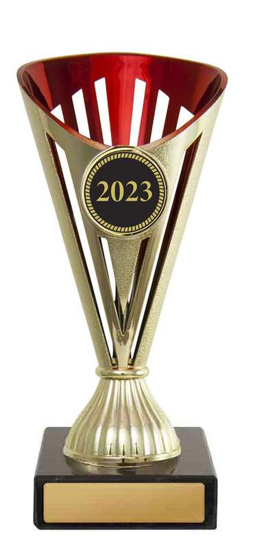 Fan Cup