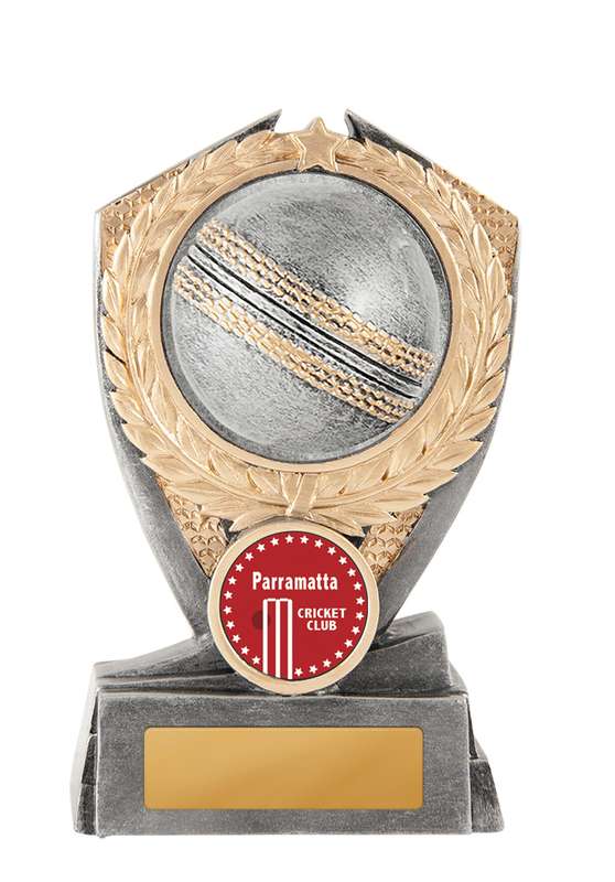 Hero Shield – Cricket